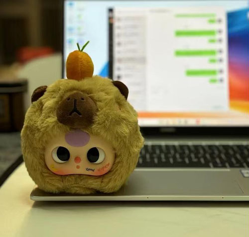 DA MEI LI (DONGGUAN) TOYS CO., LTD
